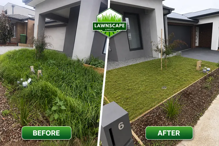 Weedy front garden cleared and lawn mowed and edged