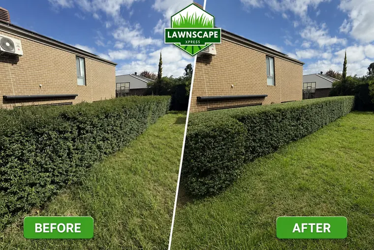Front hedge trimmed and lawn mowed