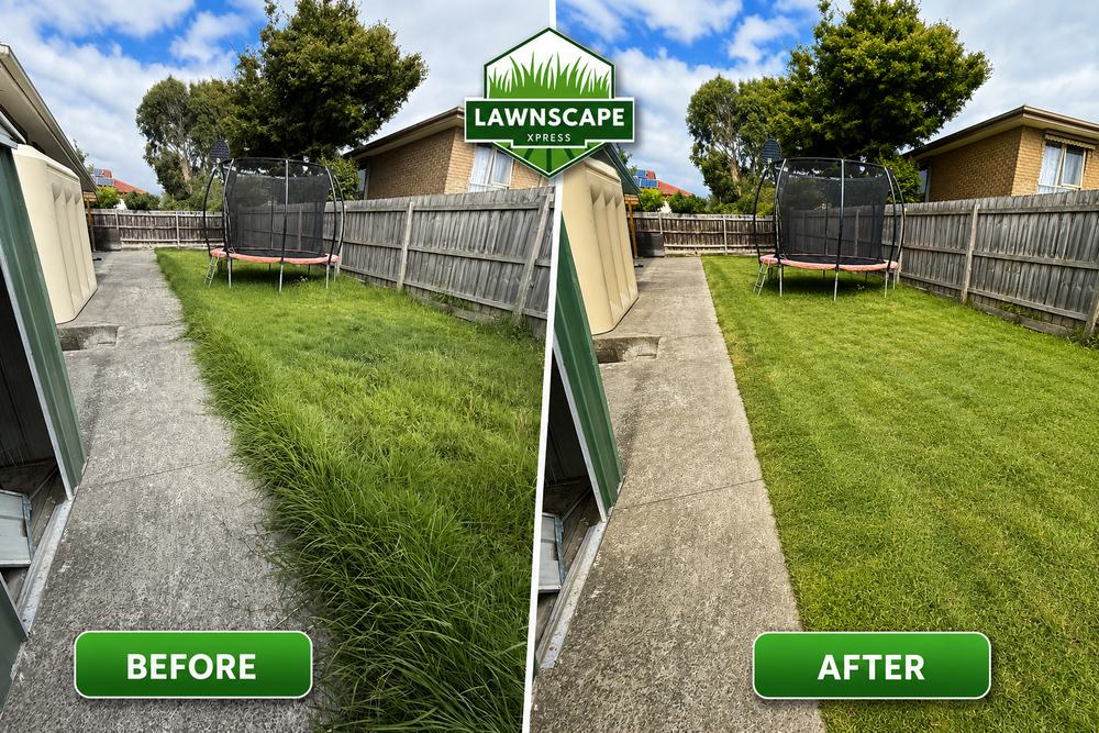 Before and after: an overgrown backyard lawn mowed and tidied around a trampoline