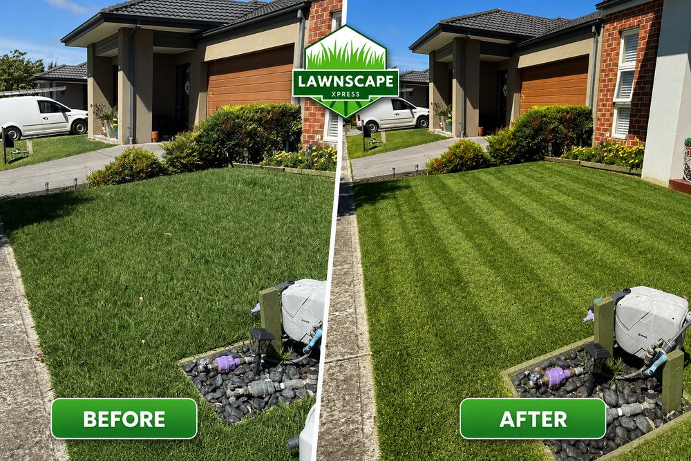 Before and after: a front lawn mowed with crisp, professional stripes