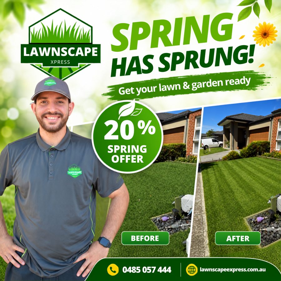 Lawnscape Xpress Spring Offer promotional artwork: Spring Has Sprung, 20% Spring Offer, with a before-and-after lawn photo